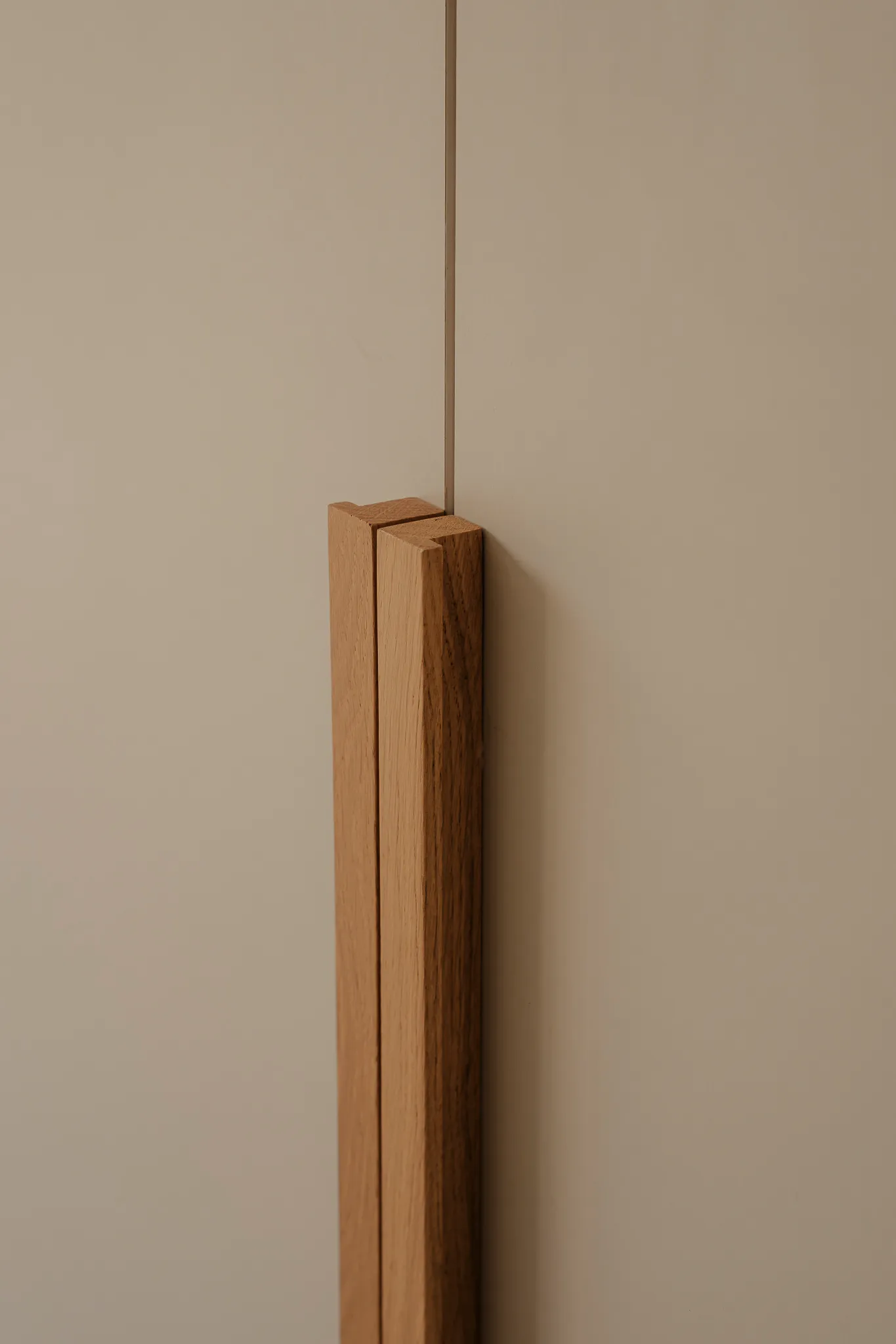 Project VILLA PINA image 3